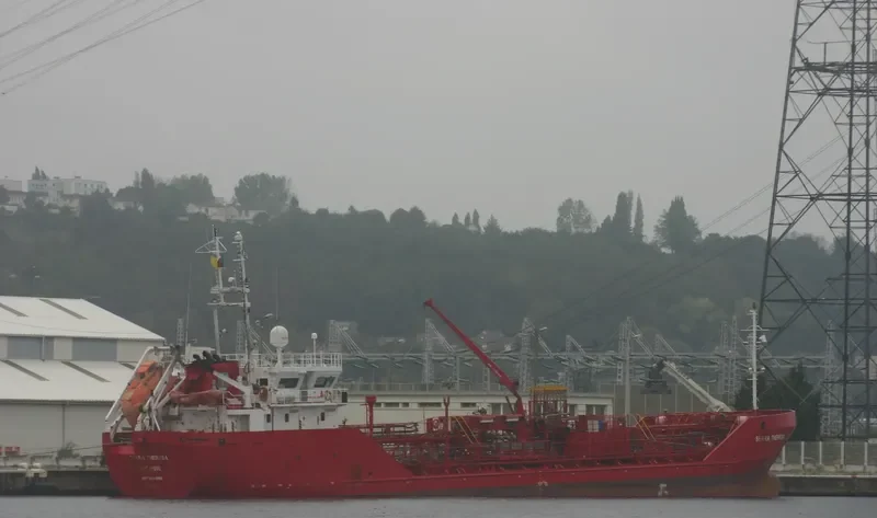 SERRA THERESA Tanker IMO 9254965 photo 8