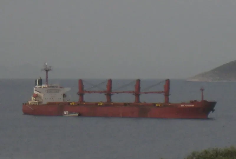 POLES Bulk Carrier IMO 9254989 photo 3