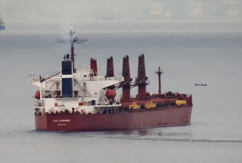 POLES Bulk Carrier IMO 9254989 photo 5