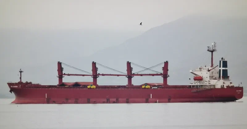 POLES Bulk Carrier IMO 9254989 photo 8