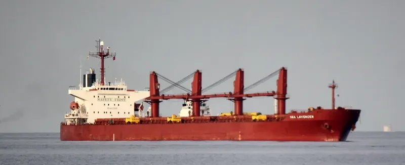 POLES Bulk Carrier IMO 9254989 photo 9