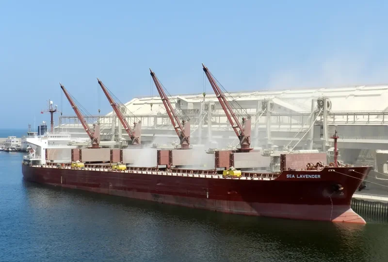 POLES Bulk Carrier IMO 9254989 photo 10