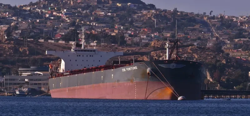 S CAPE Bulk Carrier IMO 9255000
