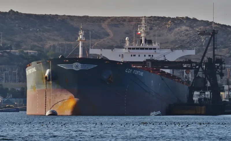S CAPE Bulk Carrier IMO 9255000 photo 2