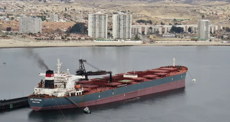 S CAPE Bulk Carrier IMO 9255000 photo 3