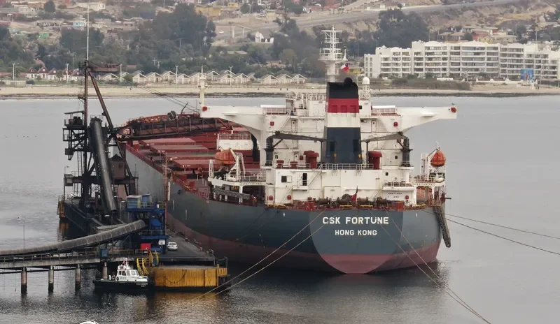 S CAPE Bulk Carrier IMO 9255000 photo 4