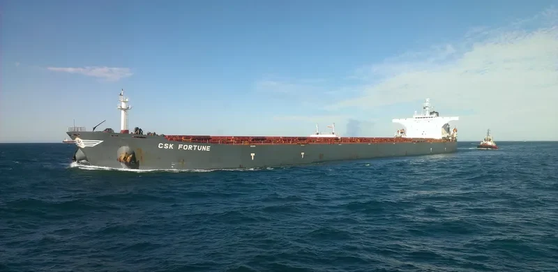 S CAPE Bulk Carrier IMO 9255000 photo 5