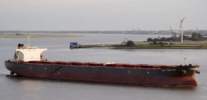 S CAPE Bulk Carrier IMO 9255000 photo 7