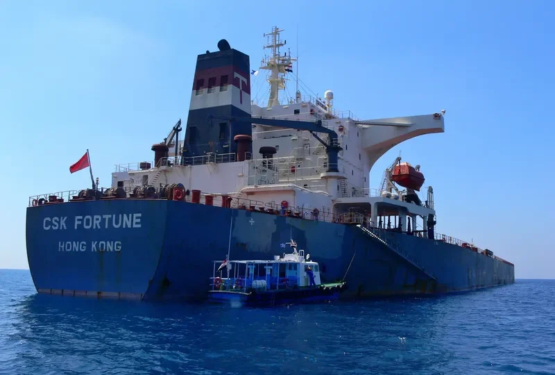 S CAPE Bulk Carrier IMO 9255000 photo 8