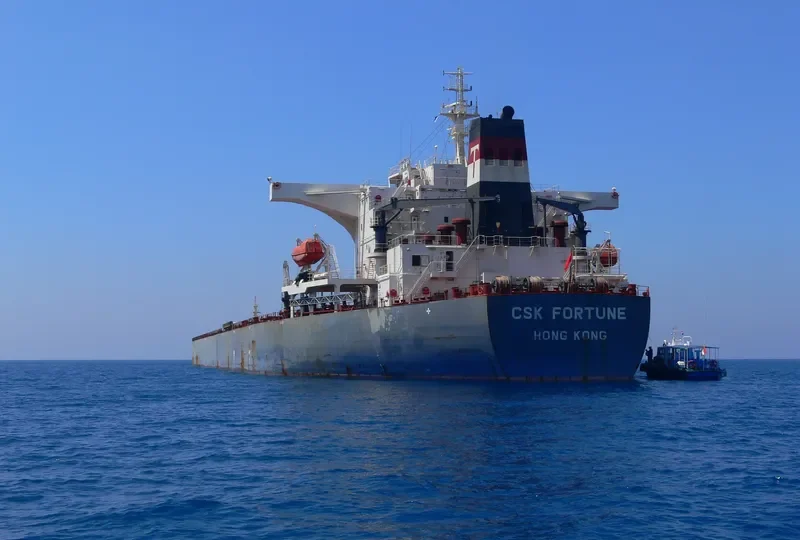 S CAPE Bulk Carrier IMO 9255000 photo 9