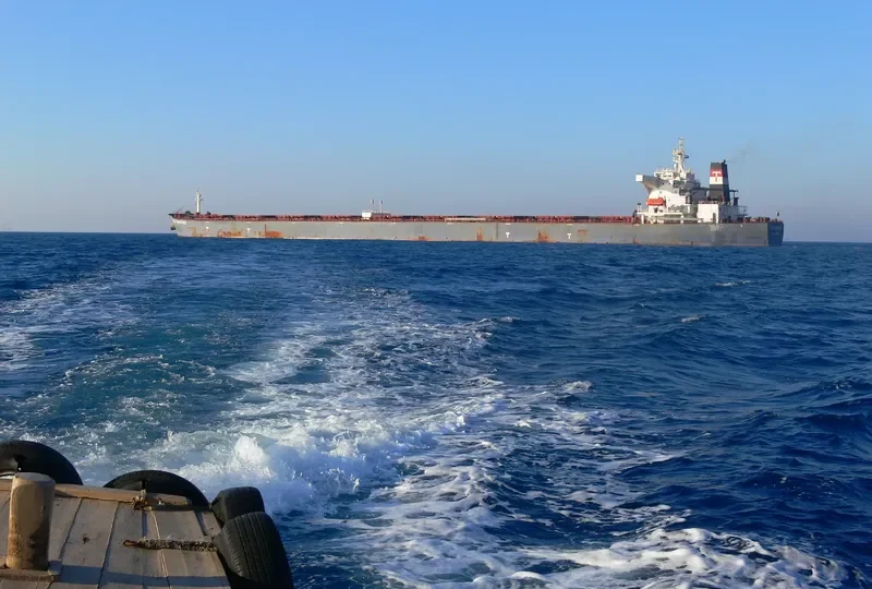 S CAPE Bulk Carrier IMO 9255000 photo 10