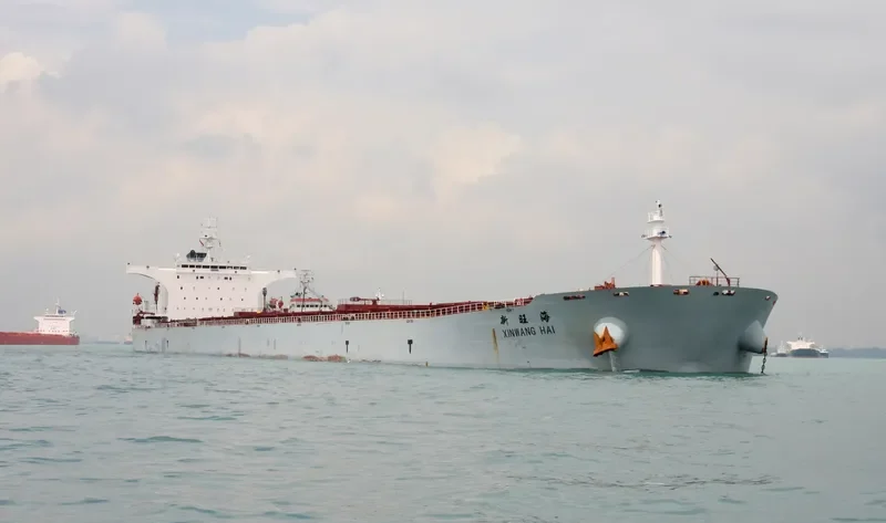 XIN WANG HAI Bulk Carrier IMO 9255012 photo 2