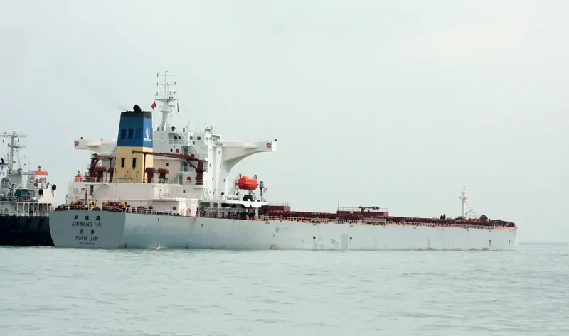 XIN WANG HAI Bulk Carrier IMO 9255012 photo 3