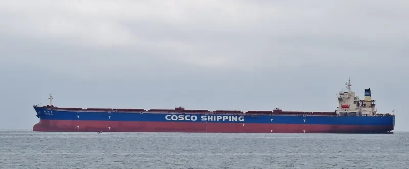 XIN WANG HAI Bulk Carrier IMO 9255012 photo 4