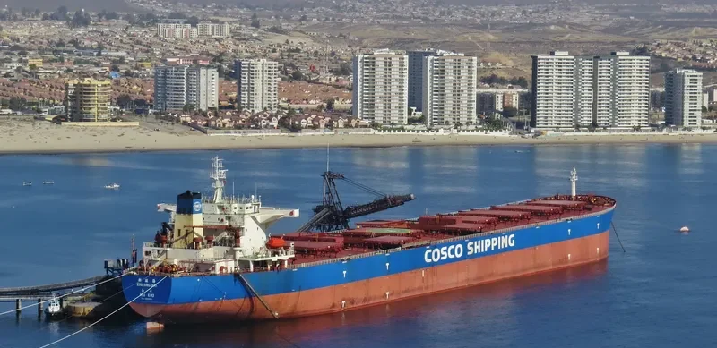 XIN WANG HAI Bulk Carrier IMO 9255012 photo 5
