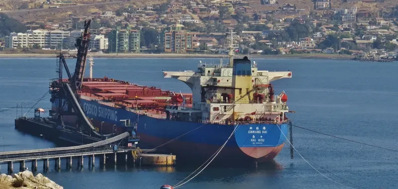 XIN WANG HAI Bulk Carrier IMO 9255012 photo 7