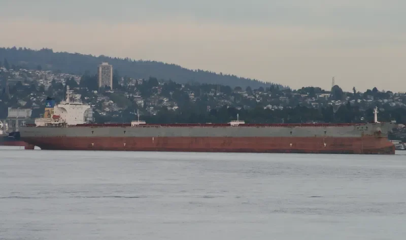 XIN FA HAI Bulk Carrier IMO 9255024 photo 3