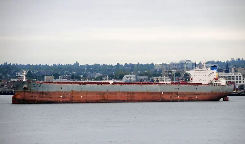 XIN FA HAI Bulk Carrier IMO 9255024 photo 7