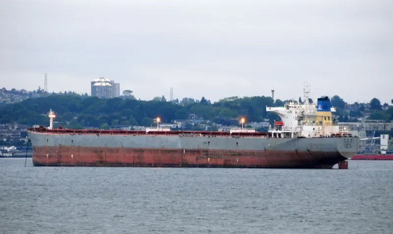 XIN FA HAI Bulk Carrier IMO 9255024 photo 8