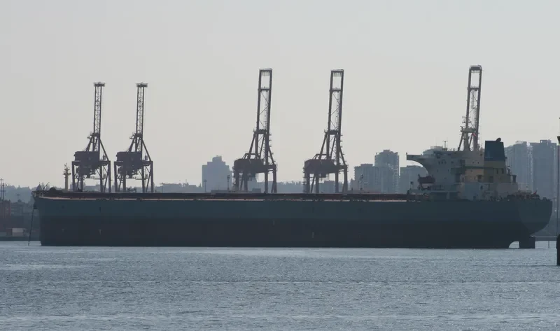 XIN FA HAI Bulk Carrier IMO 9255024 photo 9