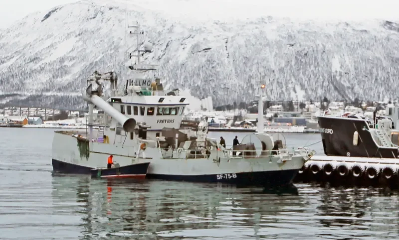 VIBEKE HELENE General Cargo IMO 9255103 photo 3