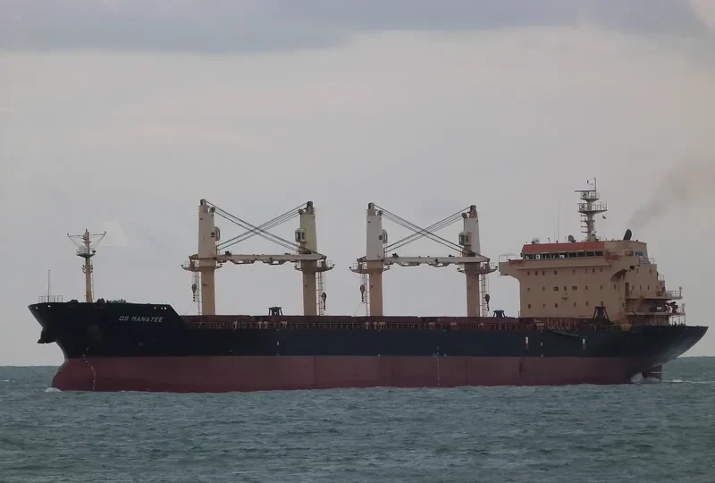 DS MANATEE Bulk Carrier IMO 9255189 photo 4