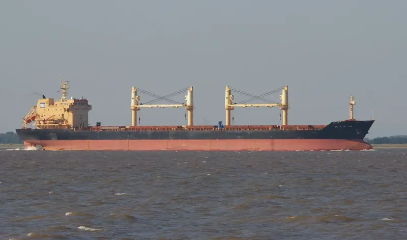 DS MANATEE Bulk Carrier IMO 9255189 photo 5