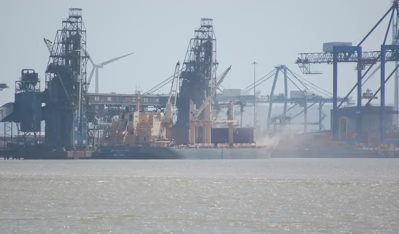 DS MANATEE Bulk Carrier IMO 9255189 photo 6