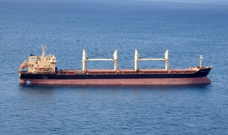 DS MANATEE Bulk Carrier IMO 9255189 photo 9