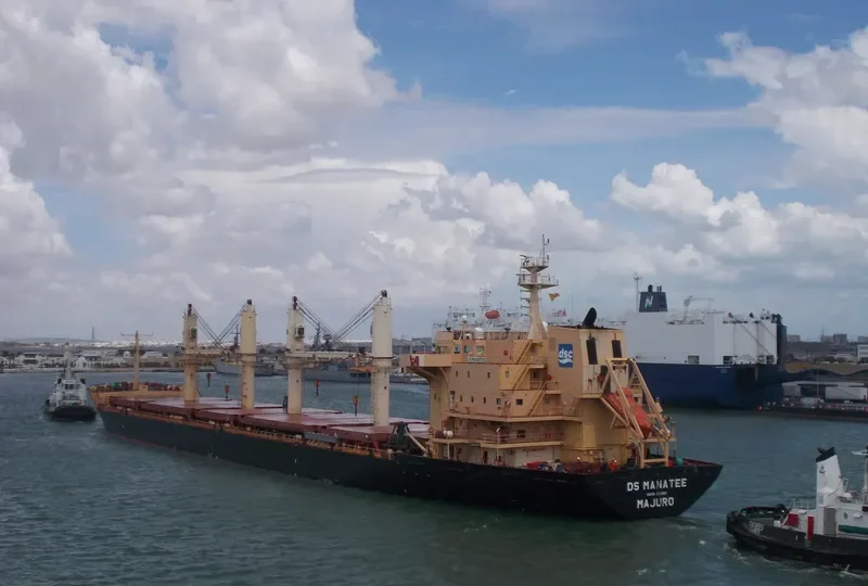 DS MANATEE Bulk Carrier IMO 9255189 photo 10
