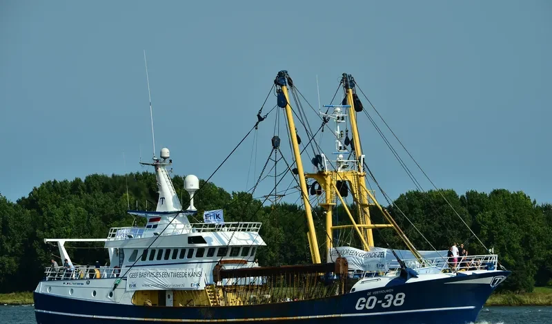DE VERTROUWEN General Cargo IMO 9255373 photo 7