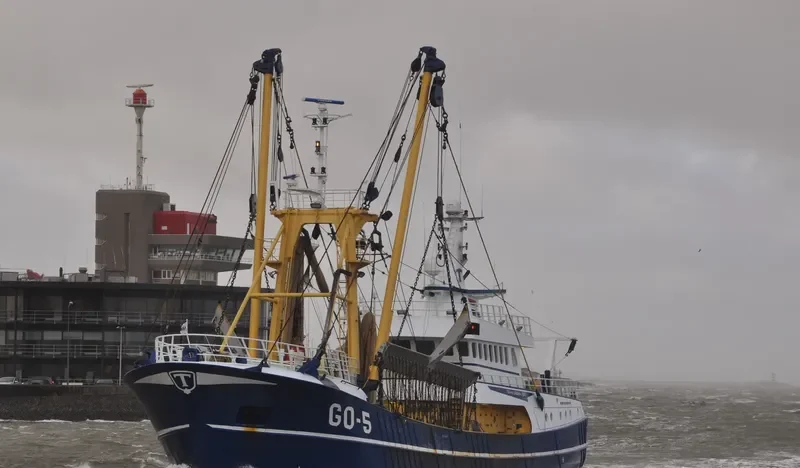 GO 5 ORA ETLABORA General Cargo IMO 9255385