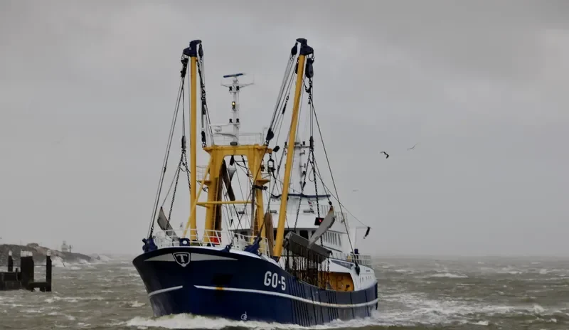 GO 5 ORA ETLABORA General Cargo IMO 9255385 photo 2