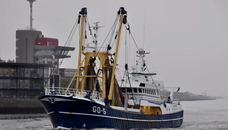 GO 5 ORA ETLABORA General Cargo IMO 9255385 photo 3