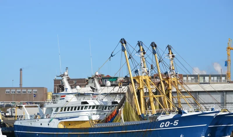 GO 5 ORA ETLABORA General Cargo IMO 9255385 photo 7