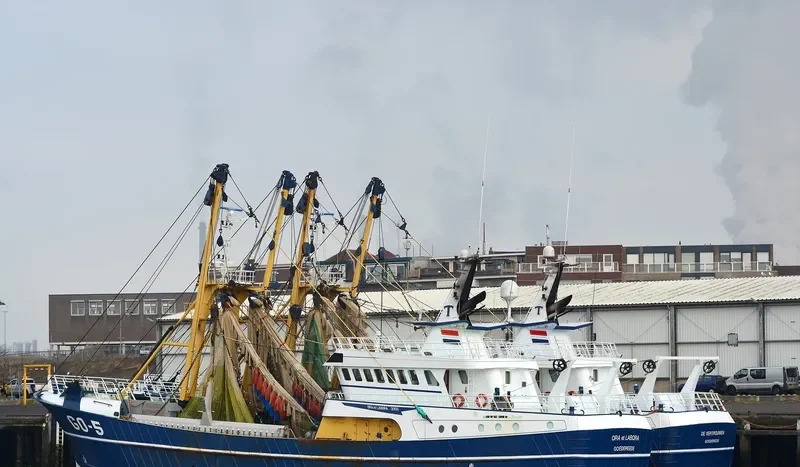 GO 5 ORA ETLABORA General Cargo IMO 9255385 photo 10