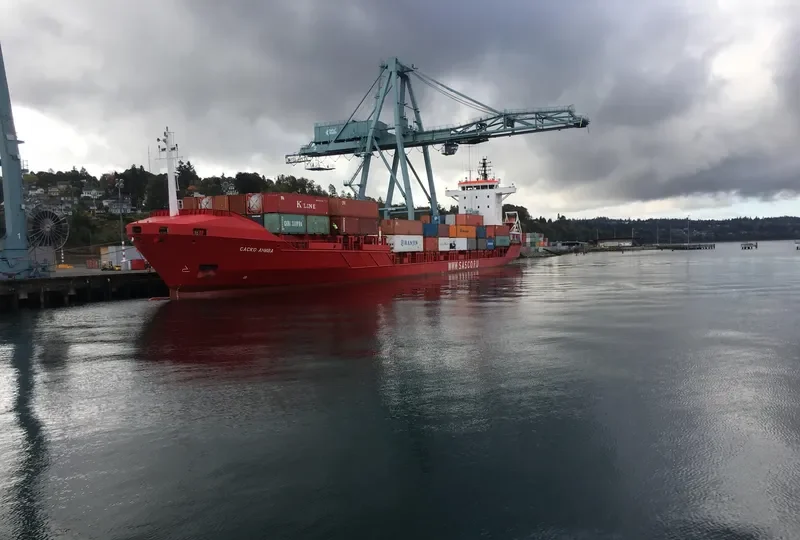 SASCO ANIVA Container Ship IMO 9255402