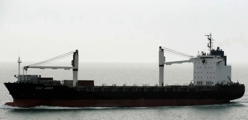 BATAM TRADER Container Ship IMO 9255531 photo 7