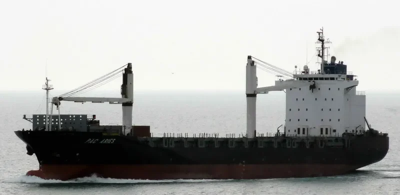 BATAM TRADER Container Ship IMO 9255531 photo 8