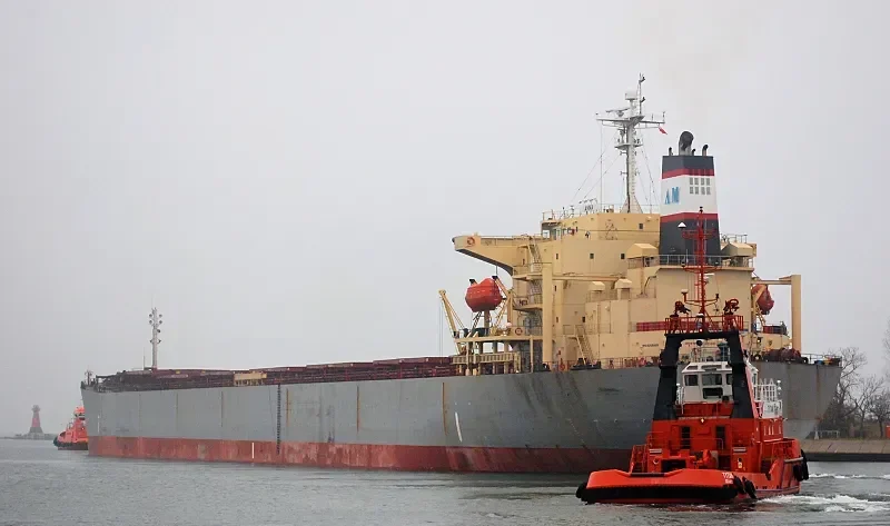 ANNA Bulk Carrier IMO 9255593 photo 4
