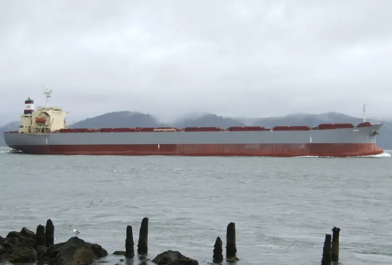 ANNA Bulk Carrier IMO 9255593 photo 7