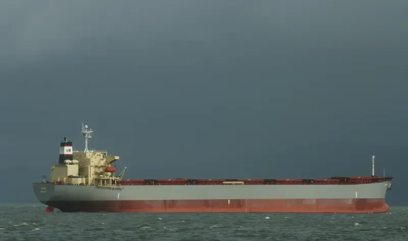 ANNA Bulk Carrier IMO 9255593 photo 12