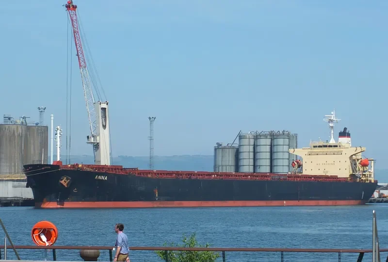 ANNA Bulk Carrier IMO 9255593 photo 17