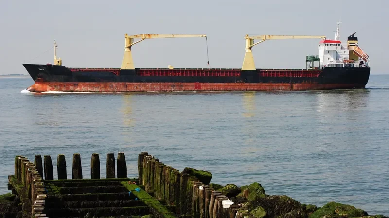 ONEGO TRAVELLER General Cargo IMO 9255725 photo 10