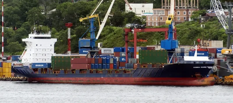 HERMANN SCHEPERS Container Ship IMO 9255751