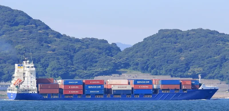 ANTON SCHEPERS Container Ship IMO 9255763