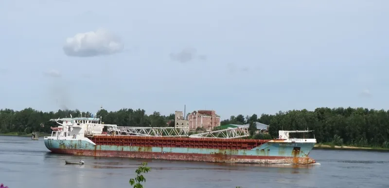 CELTIC FORESTER General Cargo IMO 9256171 photo 3
