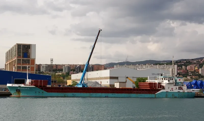 CELTIC FORESTER General Cargo IMO 9256171 photo 7