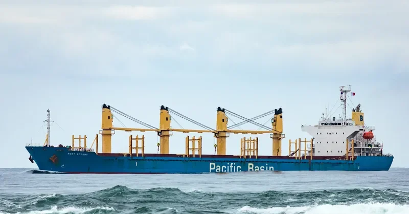 PORT BOTANY Bulk Carrier IMO 9256353 photo 7