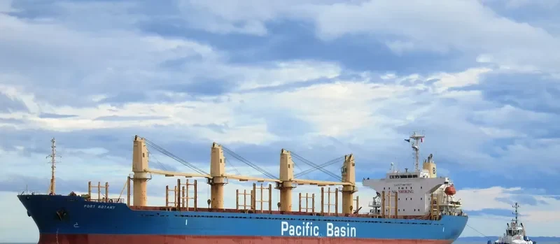 PORT BOTANY Bulk Carrier IMO 9256353 photo 8